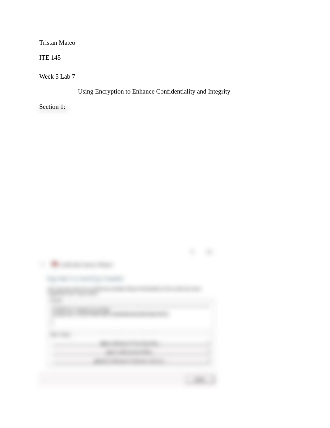 ITE 145 Mateo W5 - Lab 7 Using Encryption to Enhance Confidentiality and Integrity.docx_dicicahwstv_page1