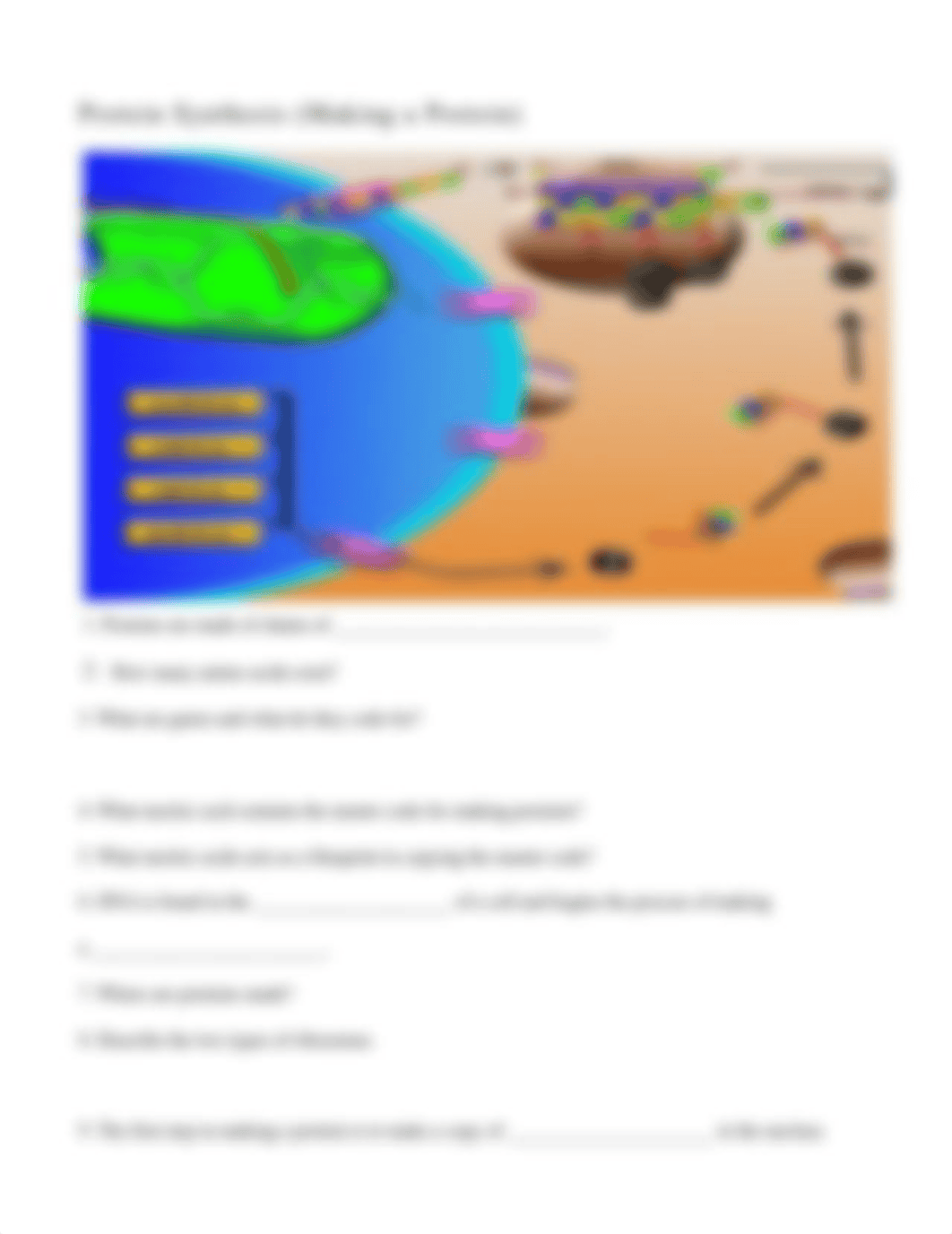 DNA and Protein Synthesis Test Review_dicov78arpv_page4