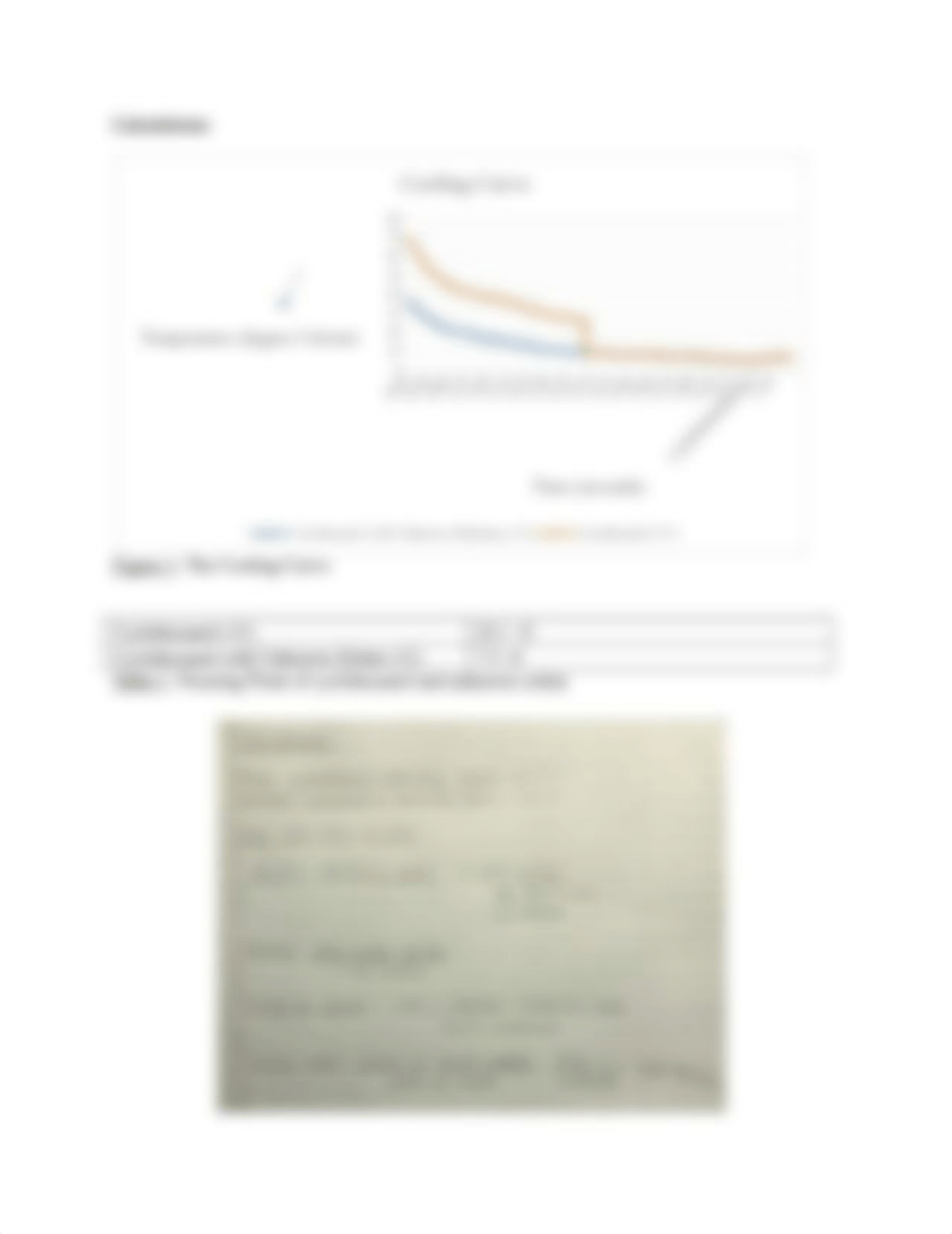 Freezing Point Lab.docx_dics547dguw_page4