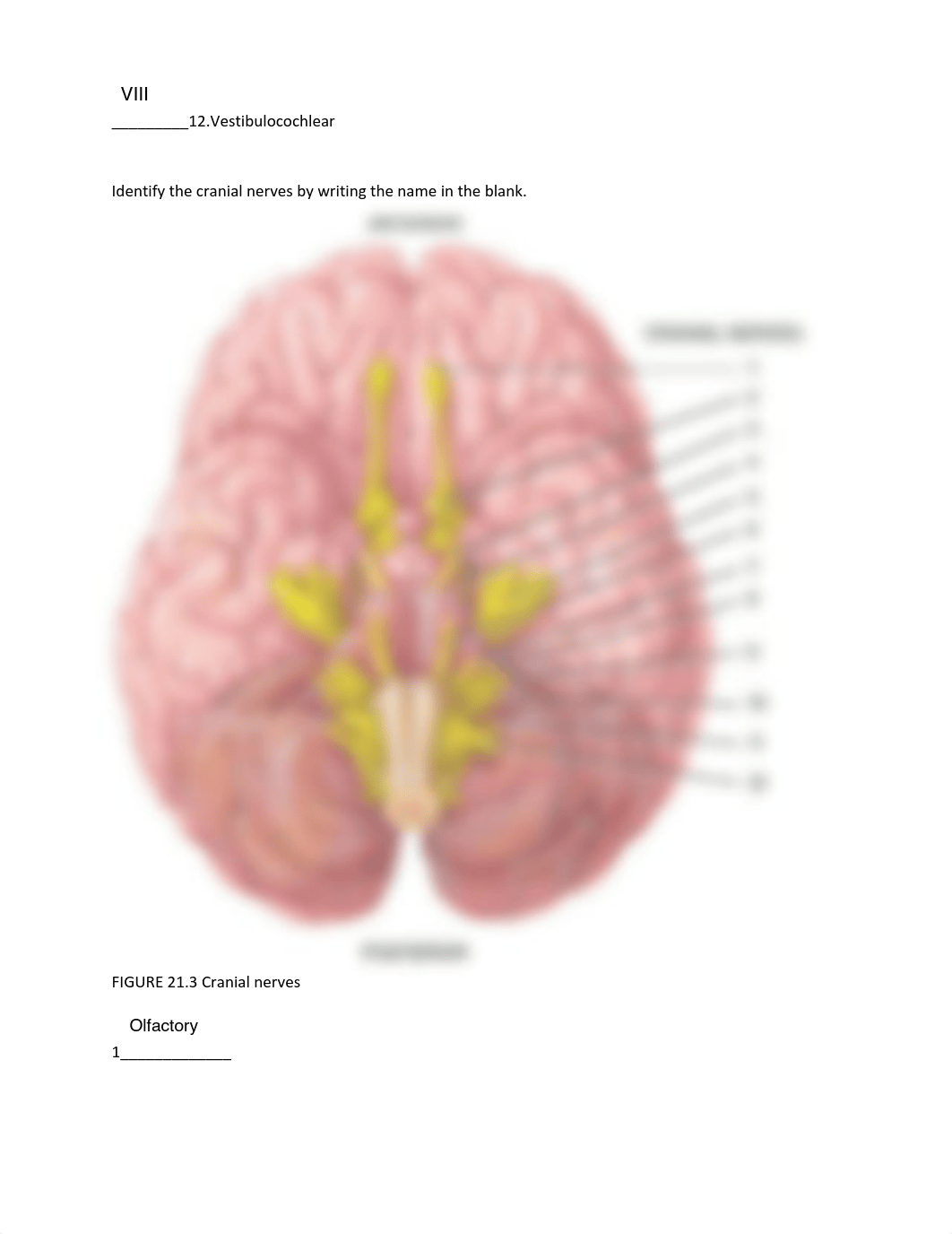 LAB21(1).pdf_did1mvdmcyj_page2