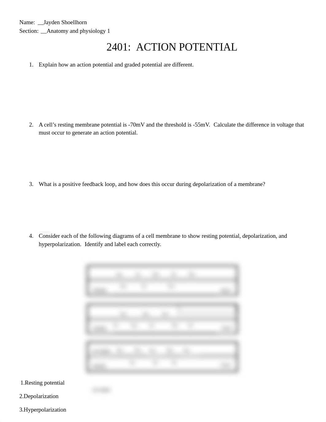 Membrane Potential Group Activity(1).docx_did2rnc5yq7_page1