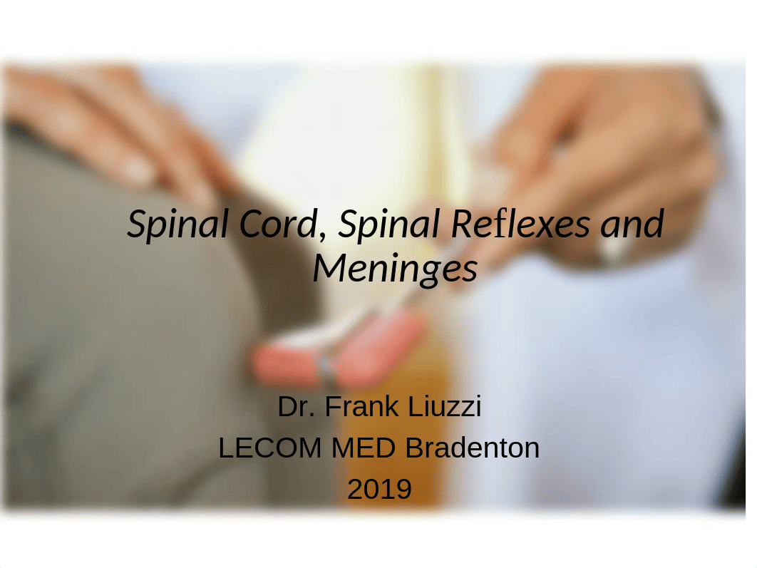 SPINAL CORD, REFLEXES AND MENINGES  2019 (1).pptx_did3drrp4tf_page1