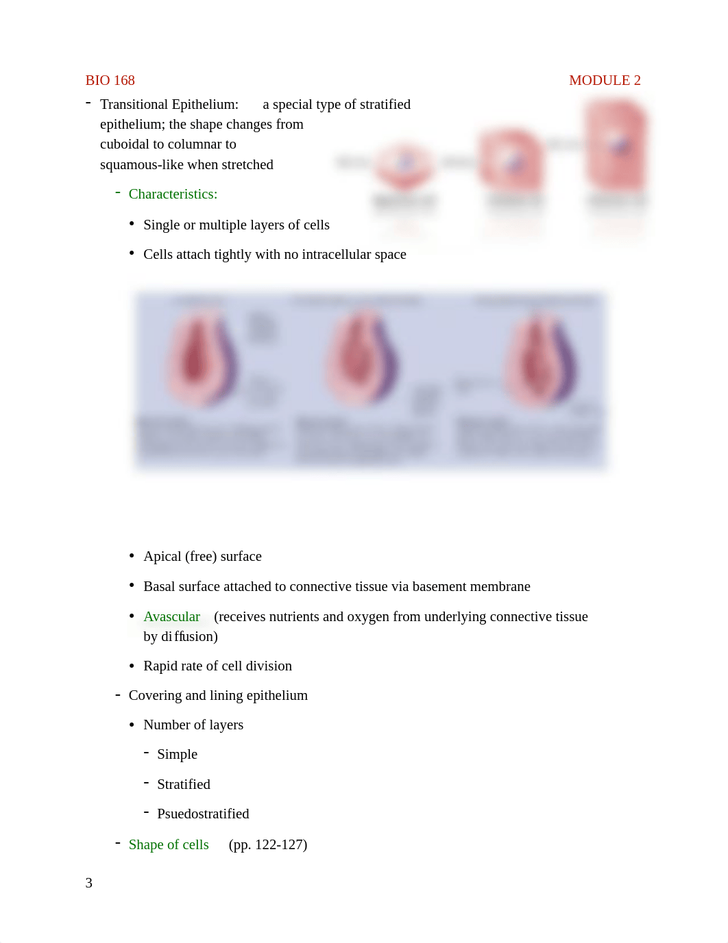 BIO 168 MODULE 2 NOTES.pdf_diddehamdxq_page3