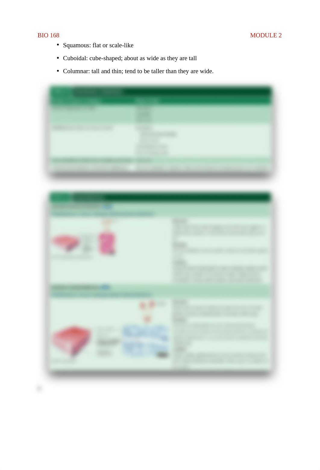 BIO 168 MODULE 2 NOTES.pdf_diddehamdxq_page4