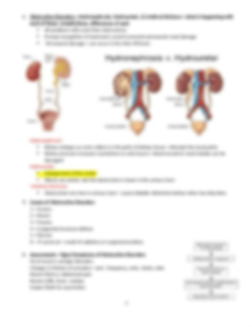 Study Guide Renal-Revised.docx_didguowmy15_page3