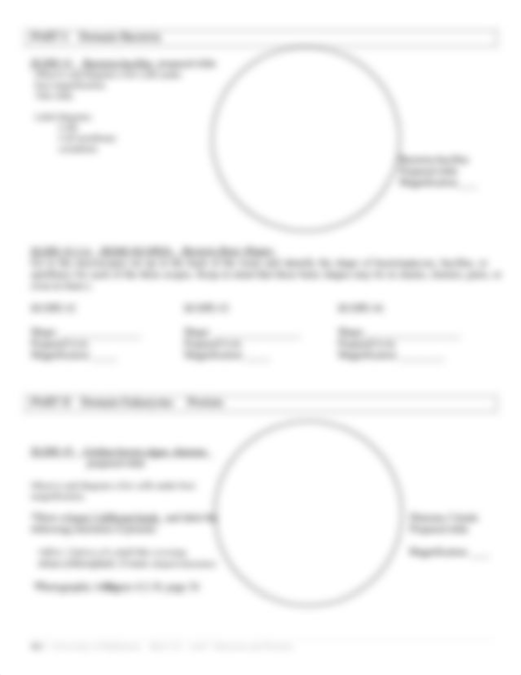 BIOL+121+Lab+7+Exercise.pdf_didhzreei2q_page2