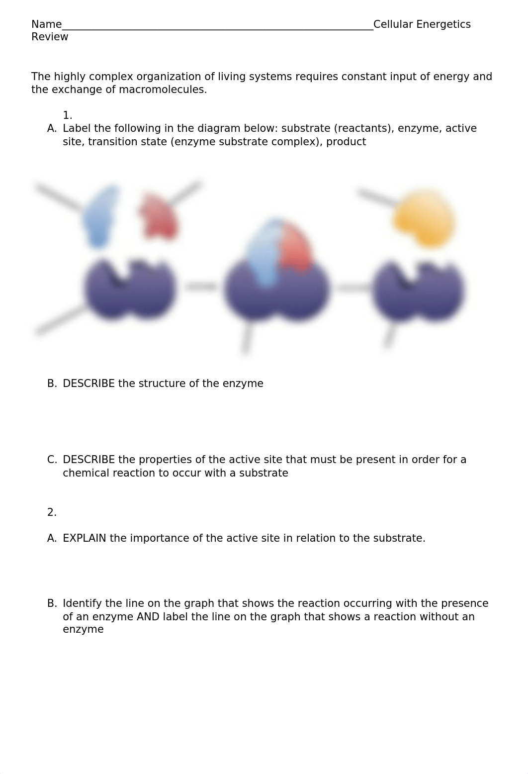 Cellular_Energetics_Review.docx_didx3yurbsu_page1