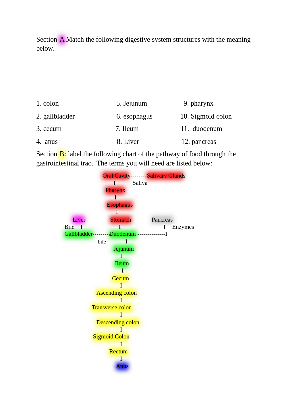 The language of medicine chpt 5&6.docx_die2xhqyaji_page2