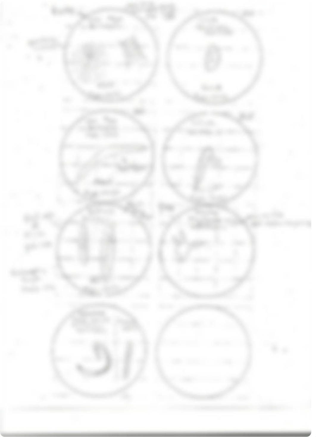 Pond Water Organisms Lab_die3sg4uh7i_page3