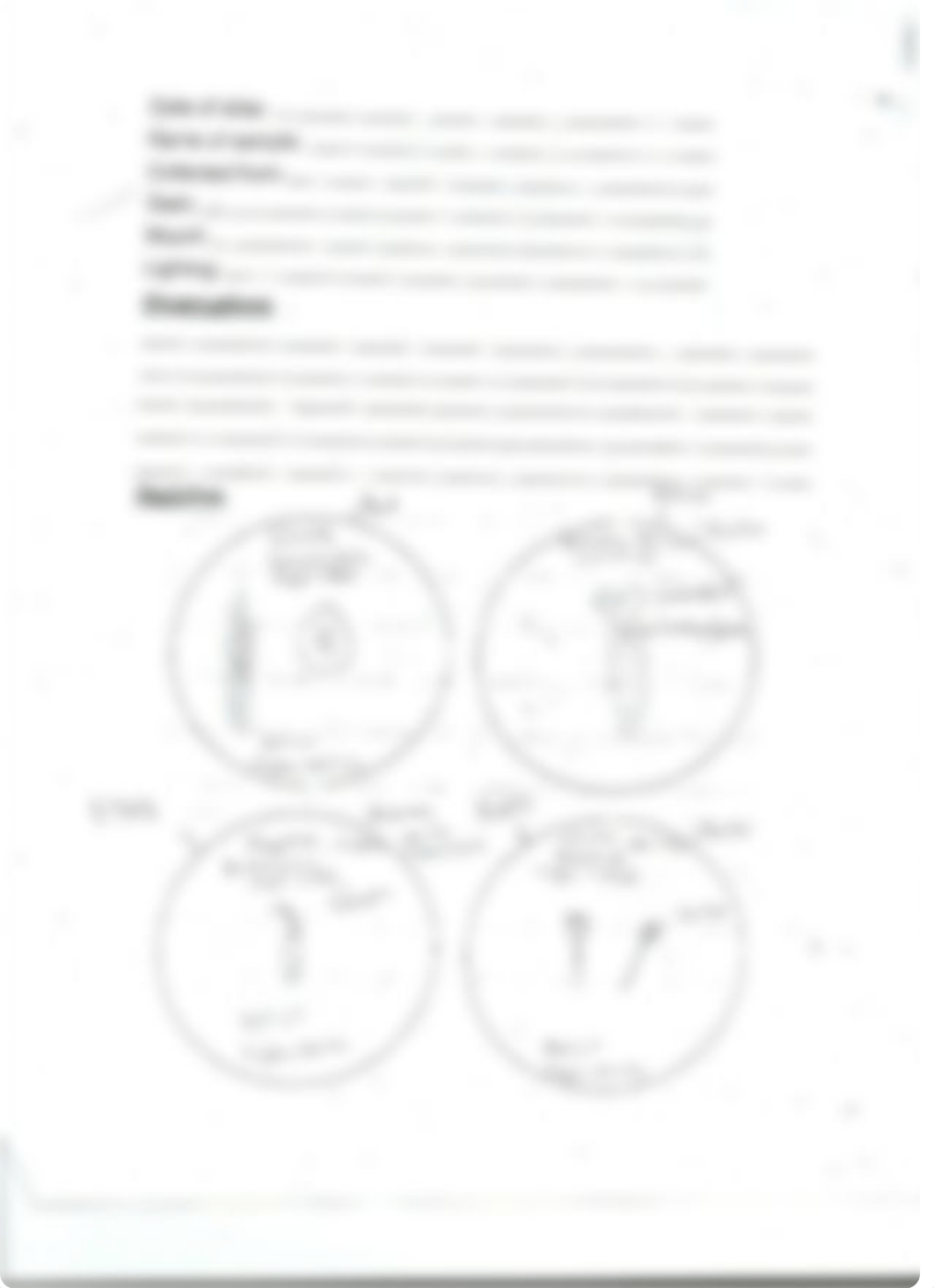 Pond Water Organisms Lab_die3sg4uh7i_page2