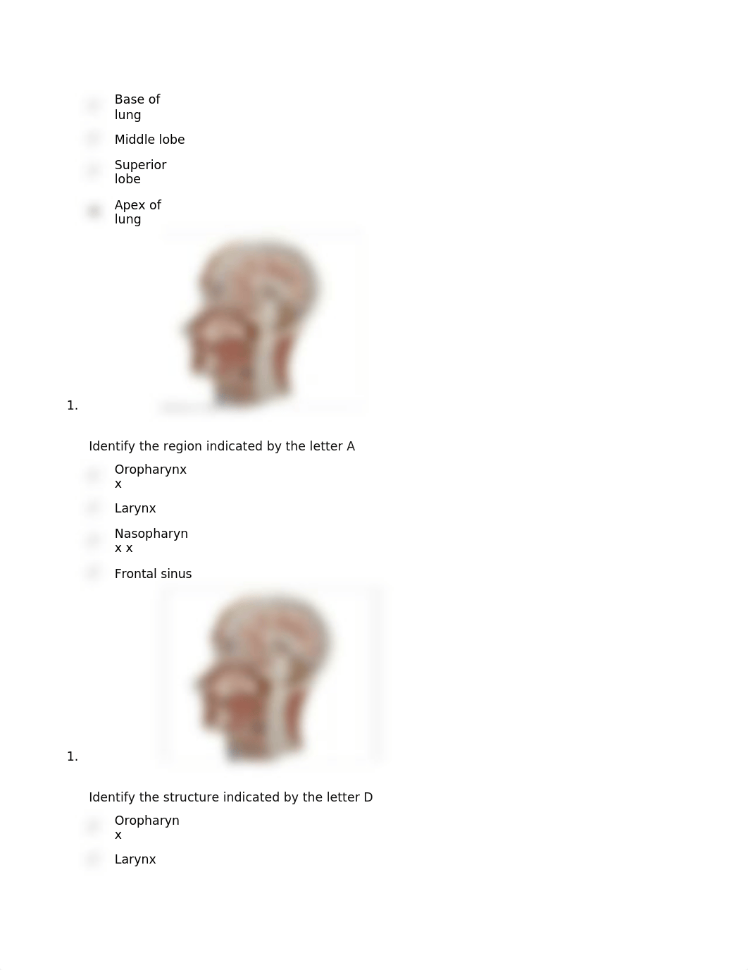 QUESTION 1.docx_die4hdoq9qu_page4