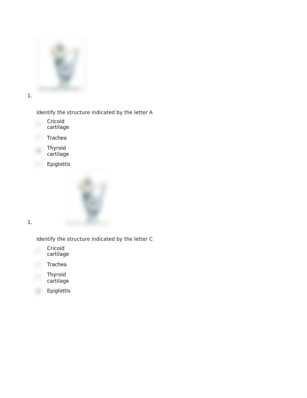 QUESTION 1.docx_die4hdoq9qu_page1