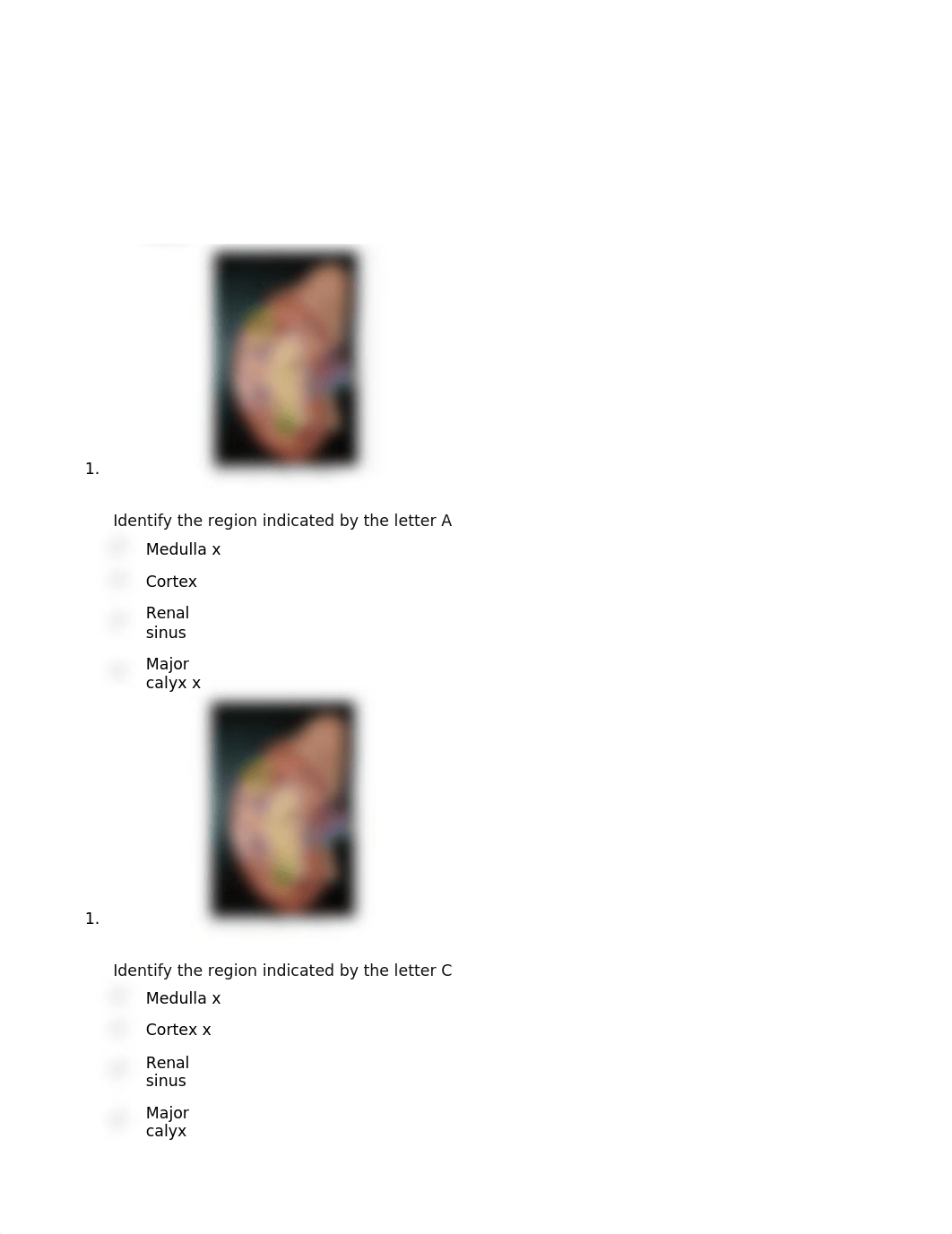 QUESTION 1.docx_die4hdoq9qu_page5