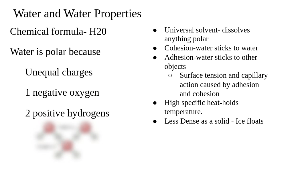 BIO 101 Final Exam Review-1.pdf_die622nmohz_page3