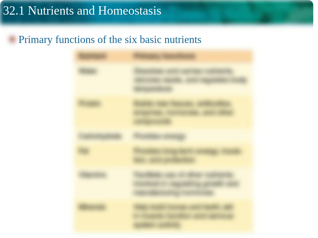 32.1- Nutrient and Homostasis.ppt_die71ybtcy5_page2