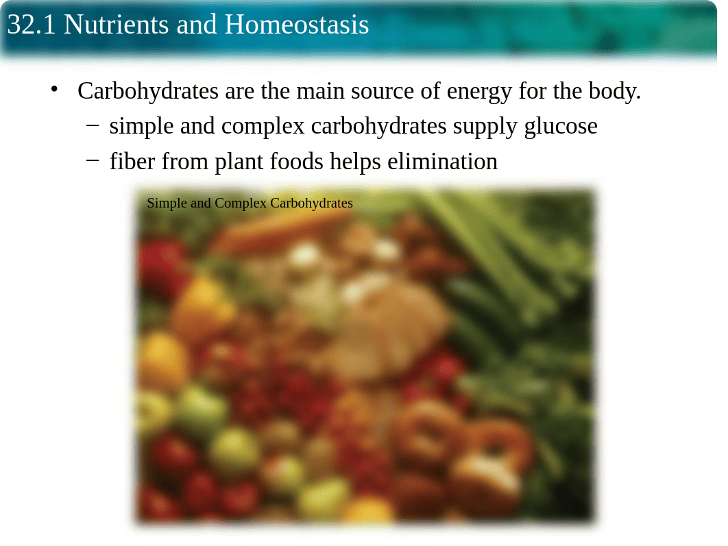 32.1- Nutrient and Homostasis.ppt_die71ybtcy5_page4