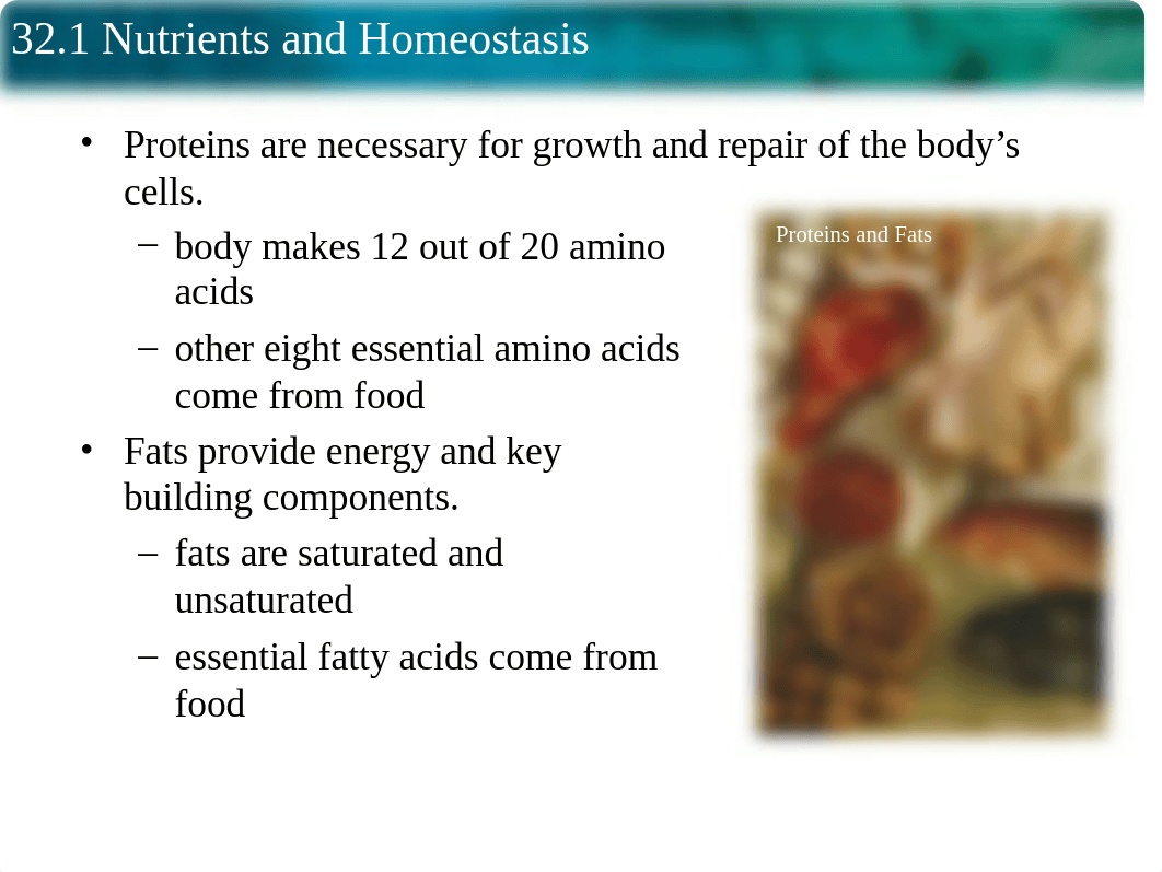 32.1- Nutrient and Homostasis.ppt_die71ybtcy5_page5