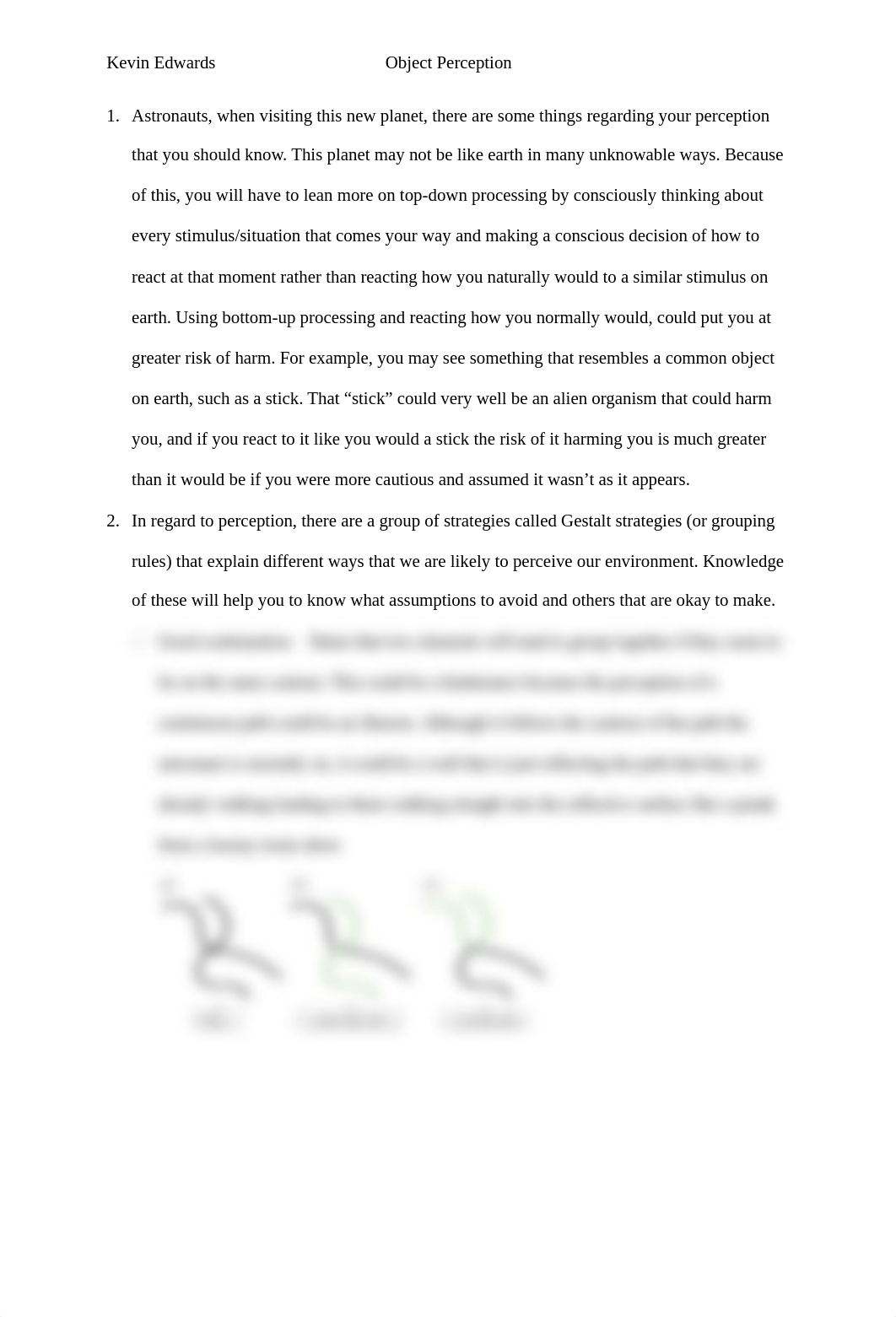 (complete) Object Perception Project.docx_dienohar16k_page1