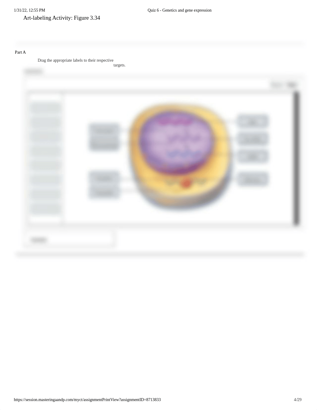 Quiz 6 - Genetics and gene expression.docx.pdf_dieoxd4tb8o_page4