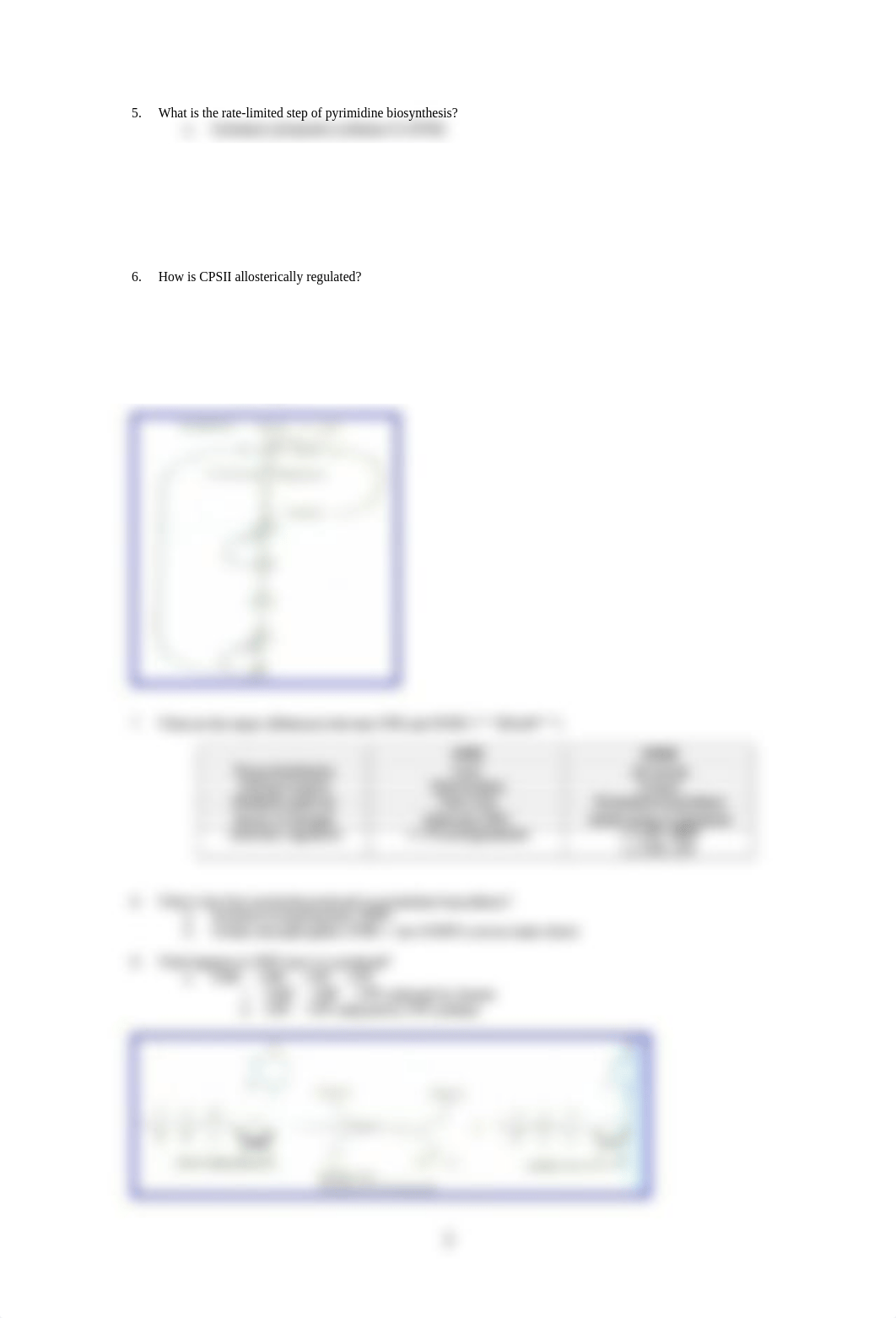 Biochemisrty review Questions - Pyrimidine Nucleotides_dieul6k28pe_page2