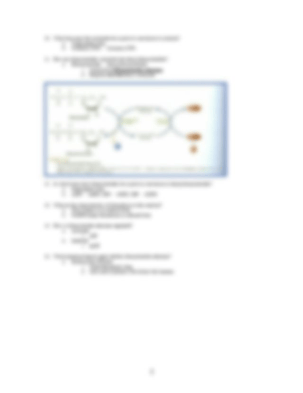 Biochemisrty review Questions - Pyrimidine Nucleotides_dieul6k28pe_page3