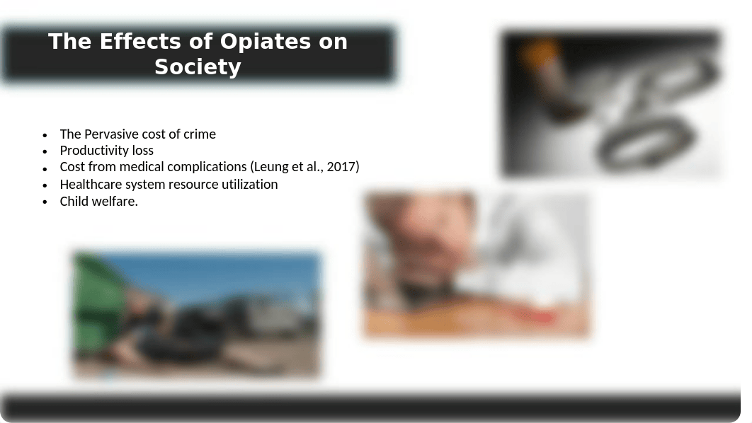 BravoA_OpiateAddictionPresentation.pptx_diev0qd7219_page4