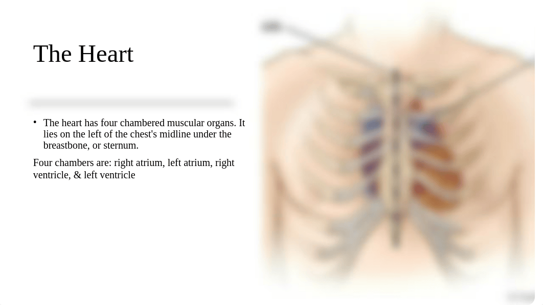 Cardiovascular System part 2 (2).pptx_diez0r6a0an_page3