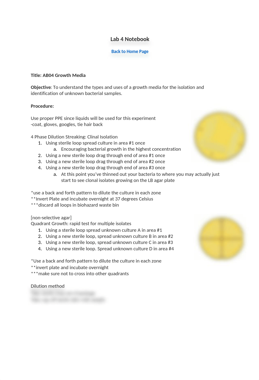 BIOD 171 Microbiology Lab 4 Notebook.docx_dif0lsyrynj_page1