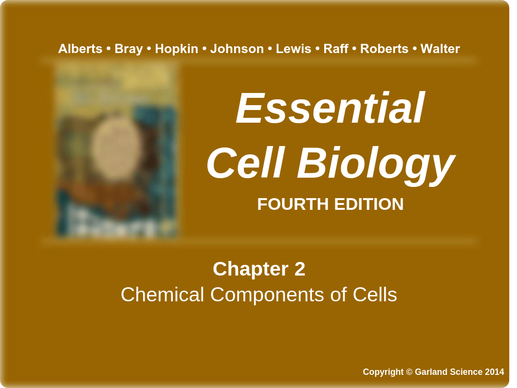 Chapter 2 - Chemistry Review.pdf_dif4qjqjk14_page1