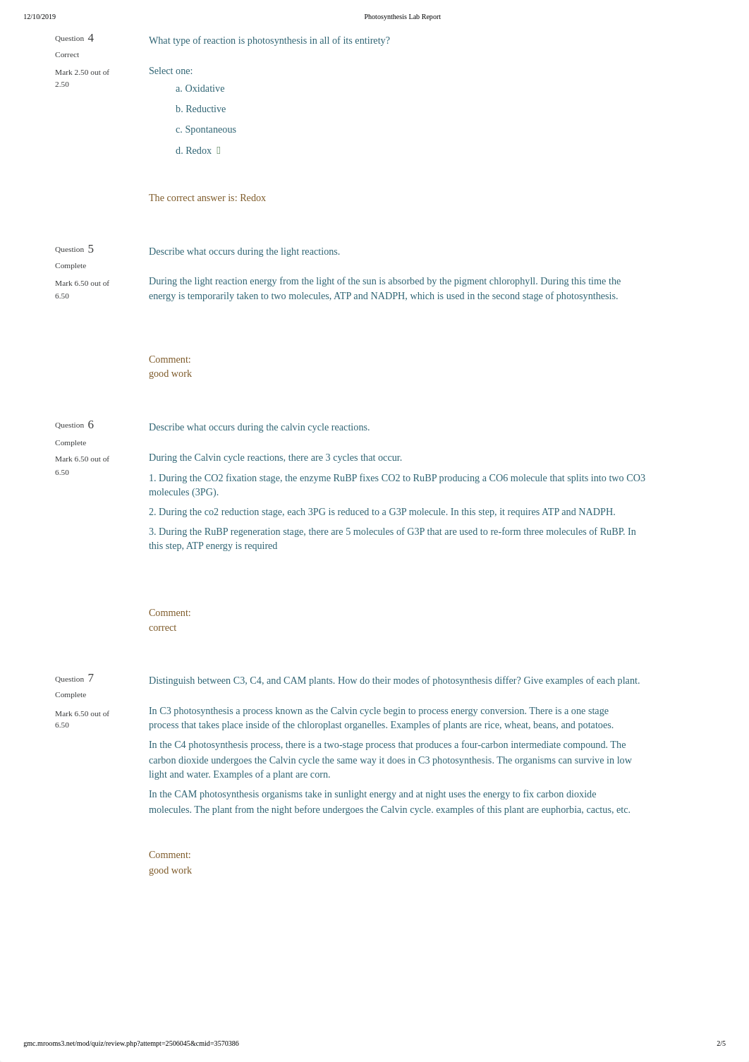 week 4 Photosynthesis Lab Report.pdf_dif87izwr5i_page2