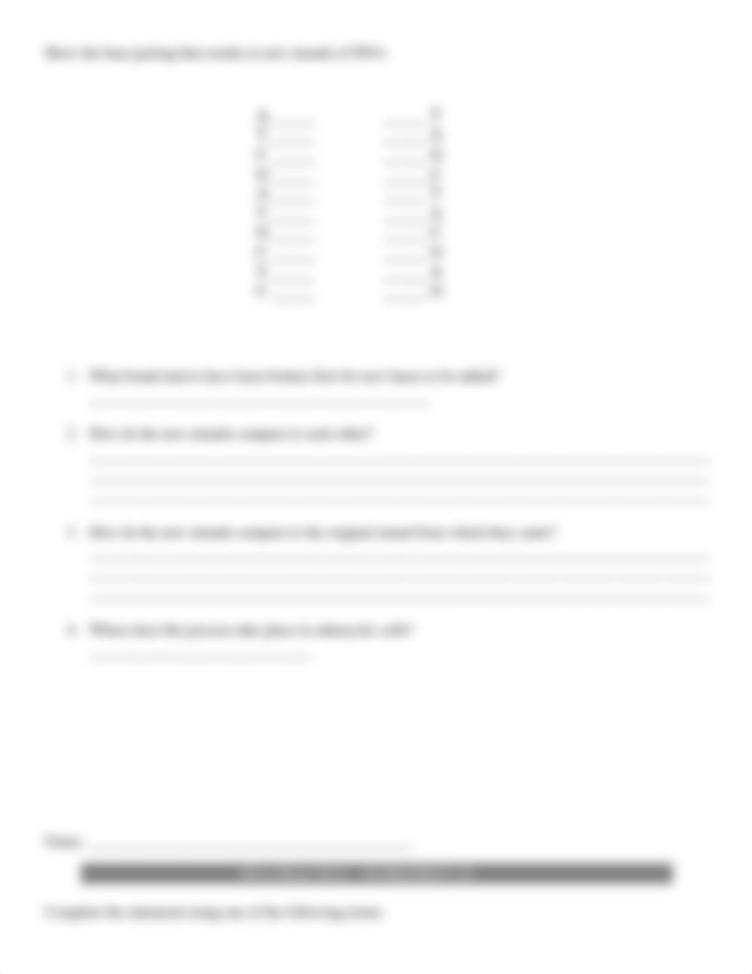 DNA and RNA Worksheets--Acc Bio 2014.docx_difhnbb4gis_page3