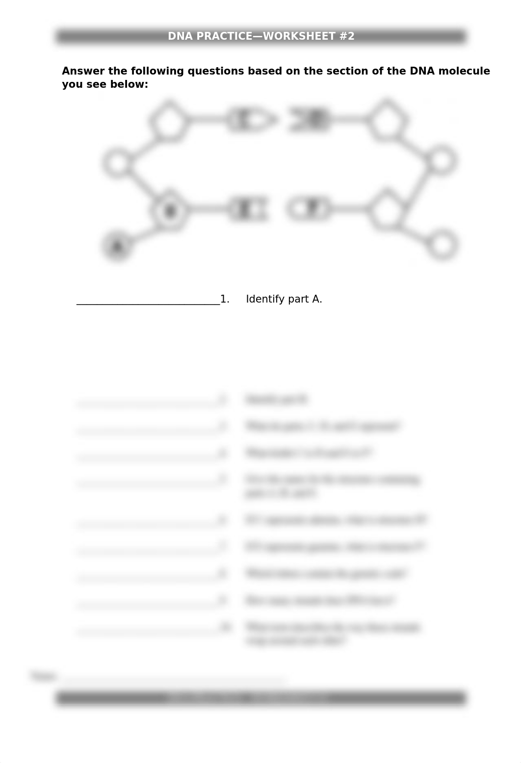 DNA and RNA Worksheets--Acc Bio 2014.docx_difhnbb4gis_page2