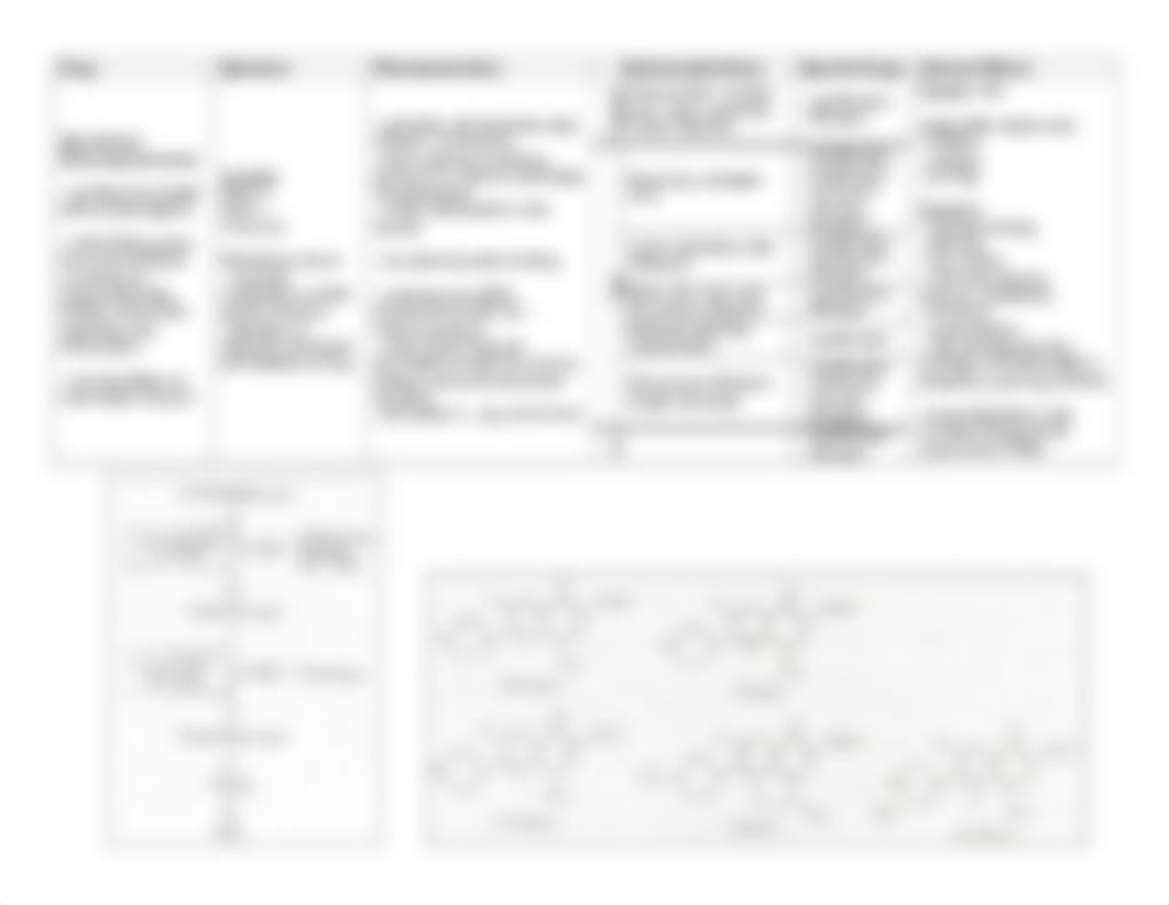 Antibiotics - Sulfonamides, Trimethoprim, Quinolones.doc_difj9mmyqtj_page2