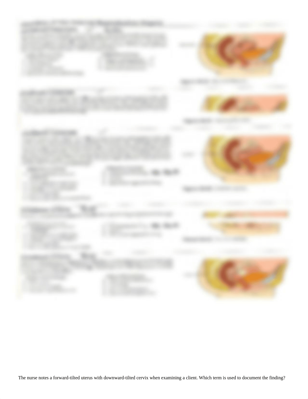 female reproductive Notes:Qs.docx_difwecgmmza_page2