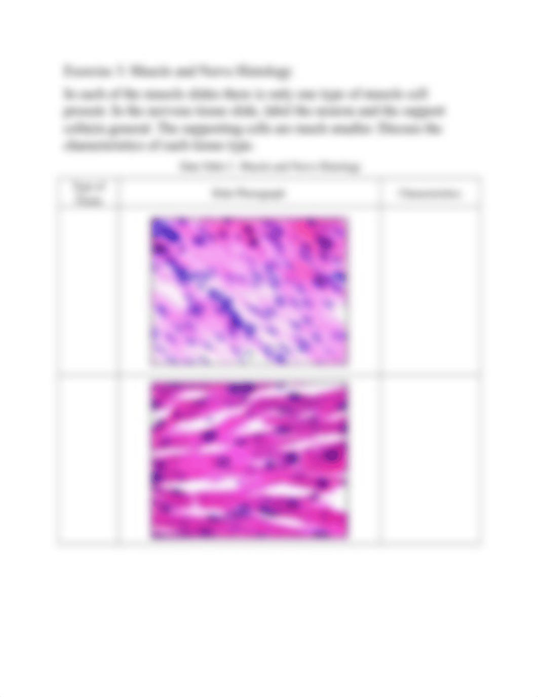 Lab 4 report Histology_RPT  Love edited (1).docx_dig34mu96bl_page4