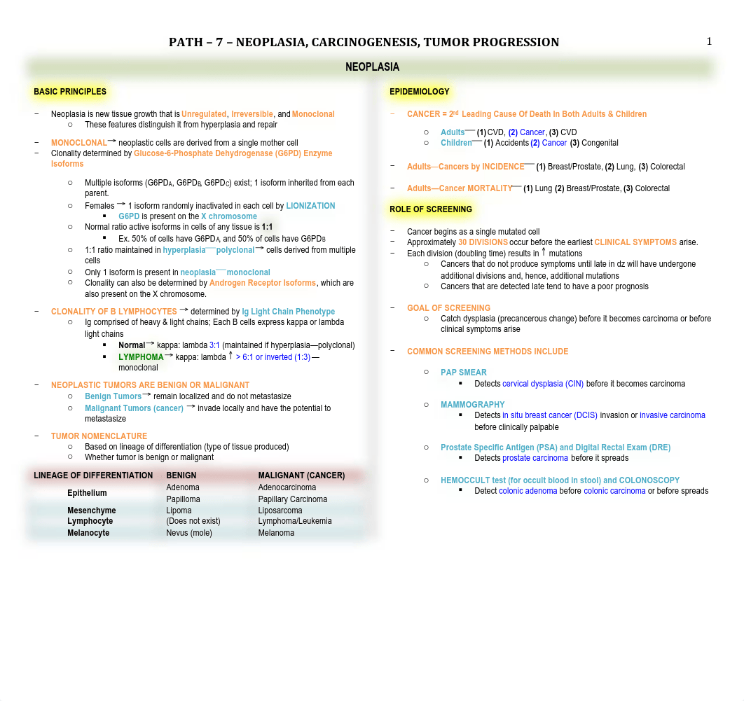 Path - 7 - Neoplasia - BL_dig3m77f6vn_page1