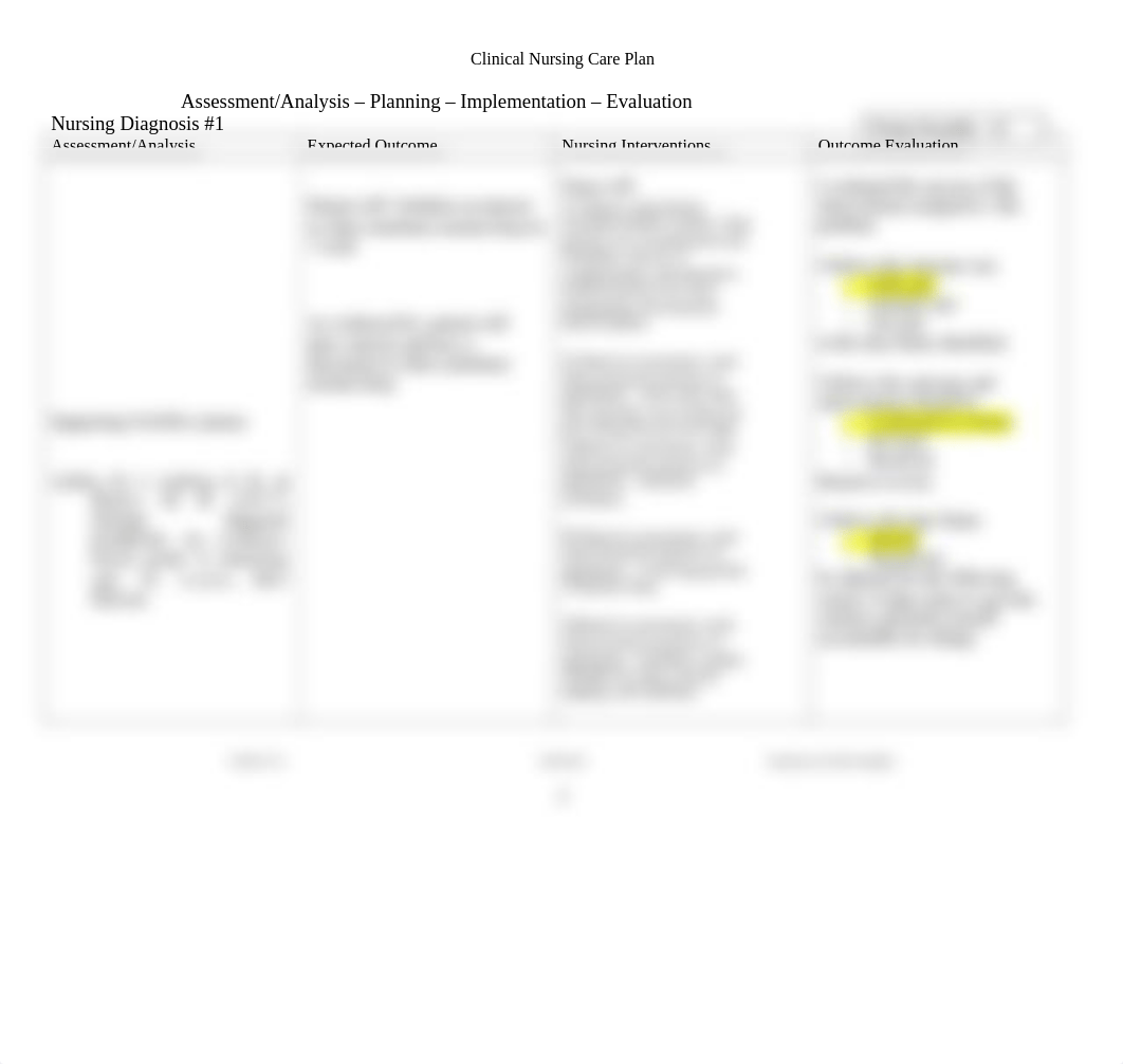 Clinical Nursing Care Plan peer.docx_dig5e3czgqn_page2