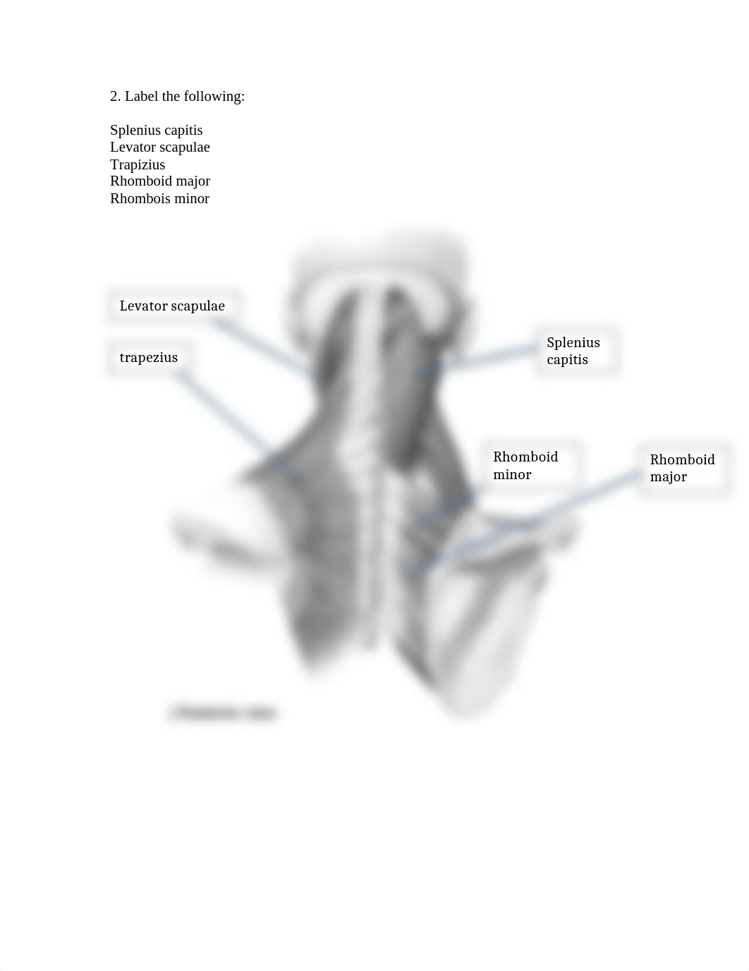 Lab 9 Lab Report.docx_dig98al6js2_page2