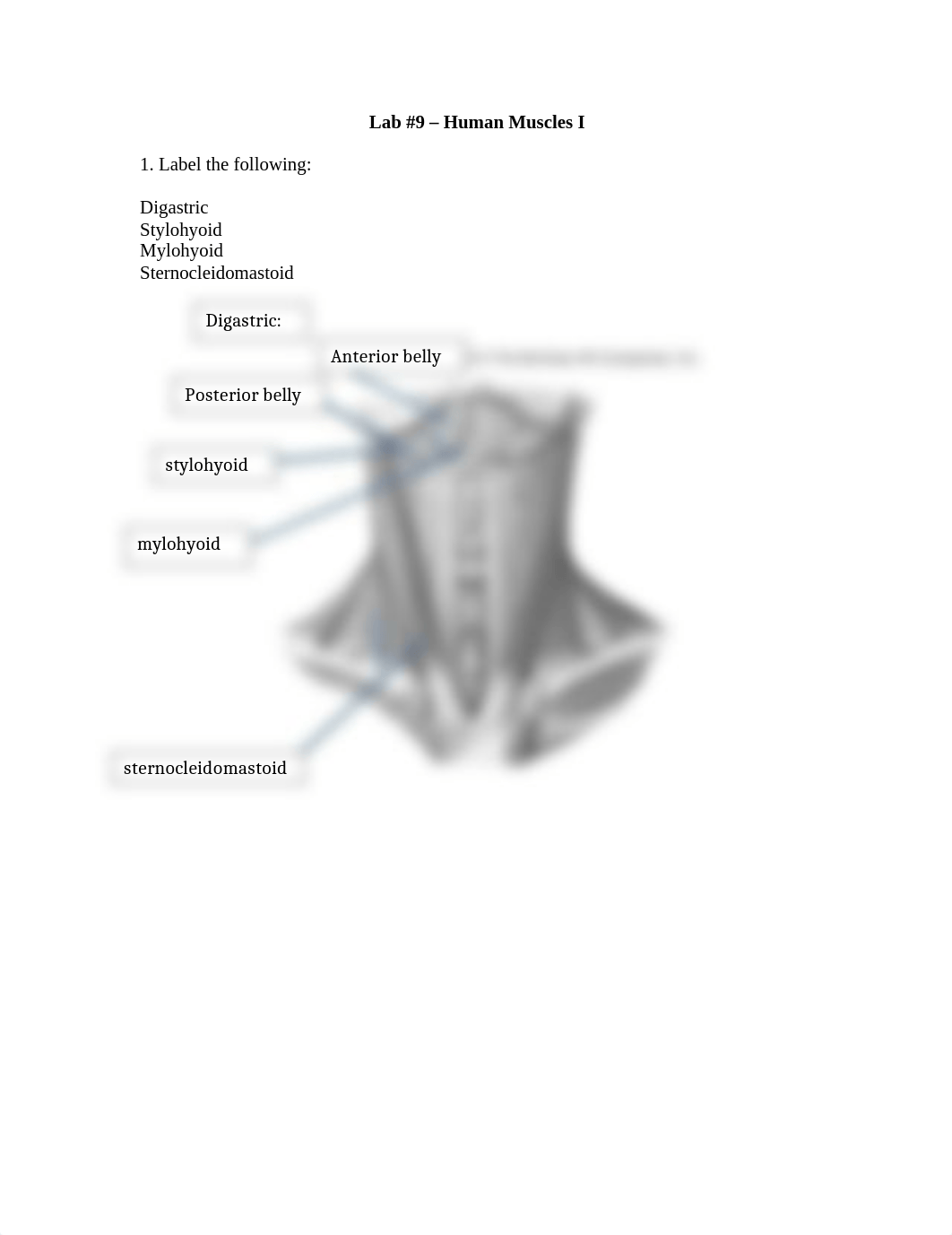 Lab 9 Lab Report.docx_dig98al6js2_page1