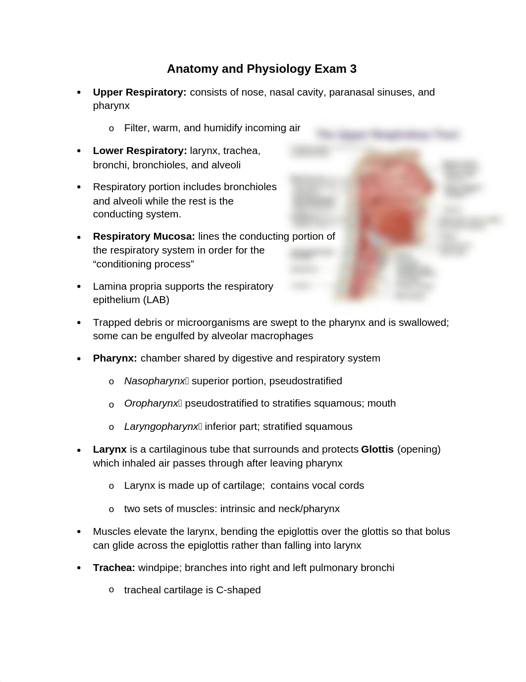 Anatomy and Physiology II Exam 3 Study Guide_digcgxft1gu_page1