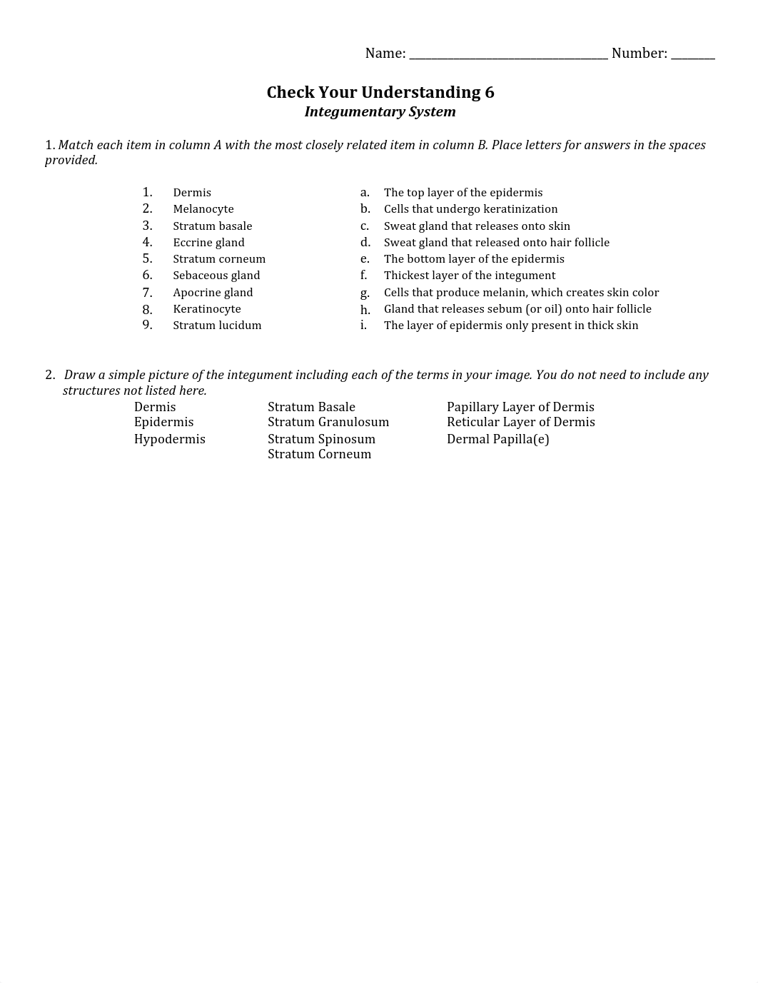 CYU 06 - Integumentary.pdf_digjzm5eu8h_page1