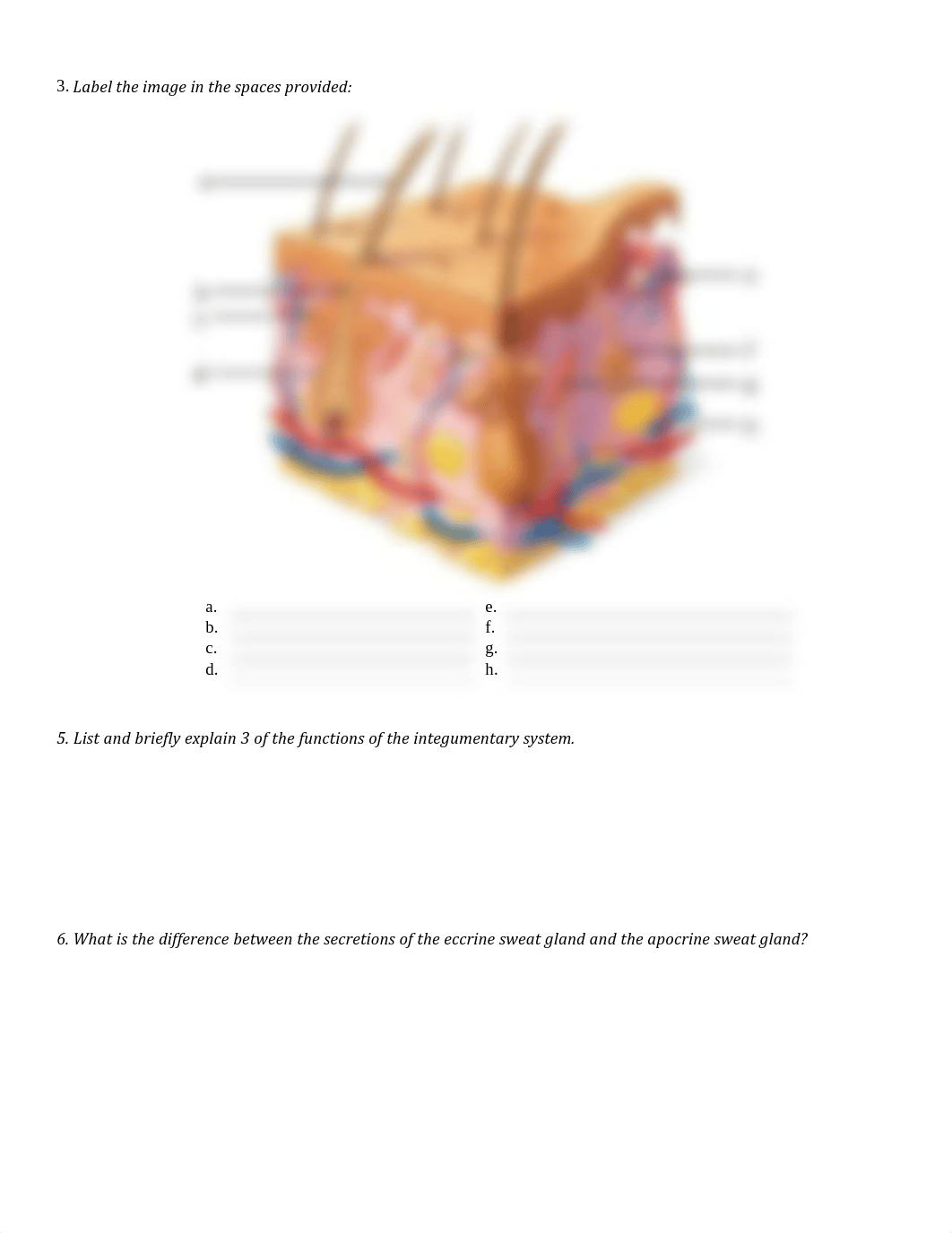 CYU 06 - Integumentary.pdf_digjzm5eu8h_page2