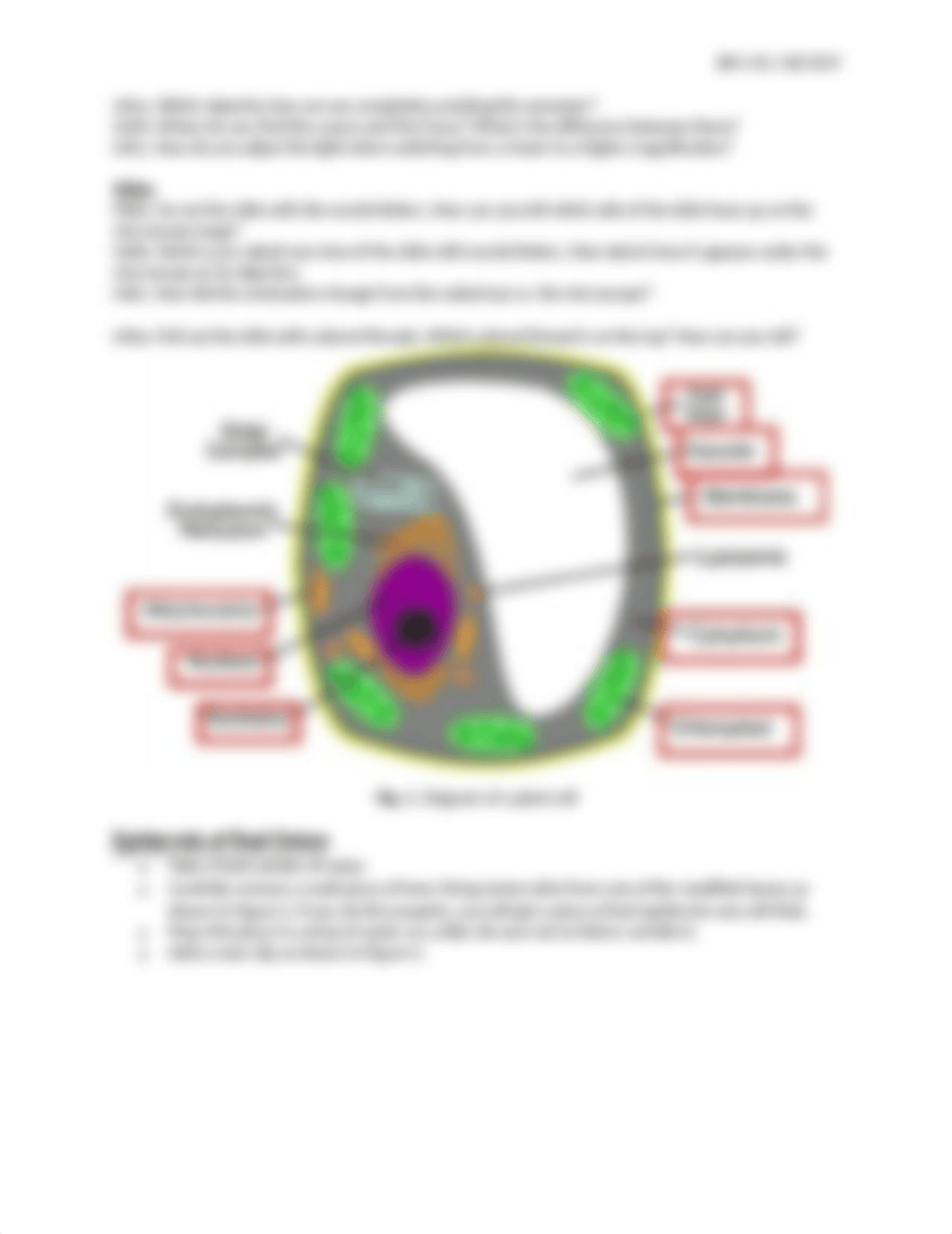 Lab 5 Pt 1.docx_digsmtmfpq8_page2