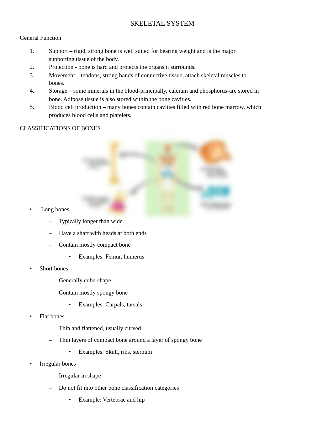 SKELETAL-SYSTEM-HANDOUT.docx_digw7zxh61d_page1