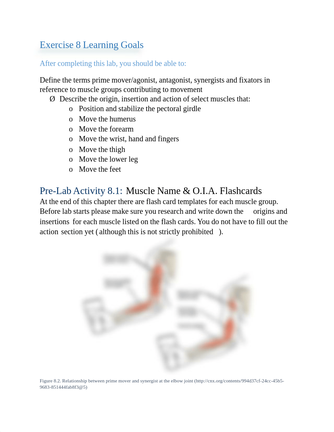 A&P1 Exercise 8.pdf_digx10j9sep_page2