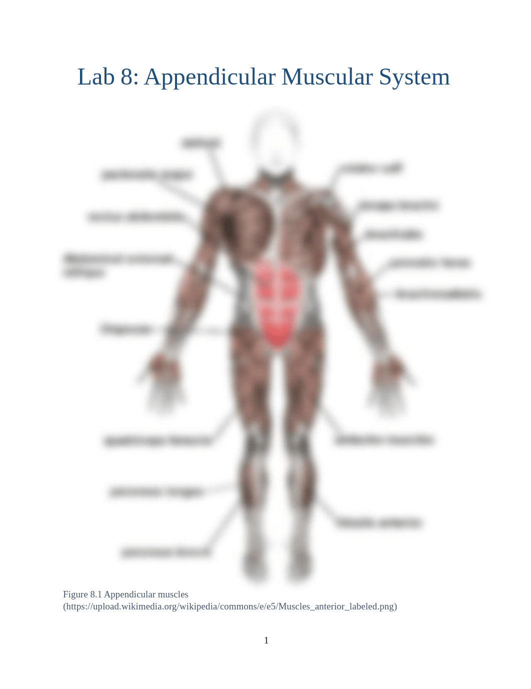 A&P1 Exercise 8.pdf_digx10j9sep_page1