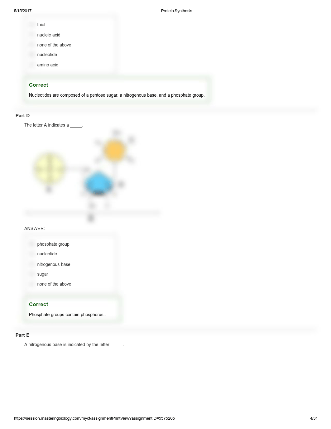 Protein Synthesis.pdf_digyihxee9y_page4