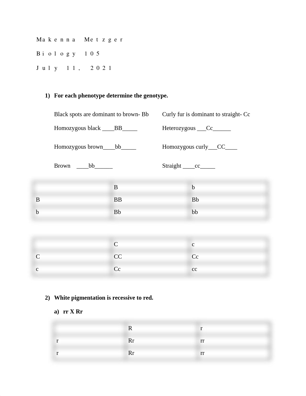 Chapter10Assignment (1) (1).docx_digyly87xxz_page1