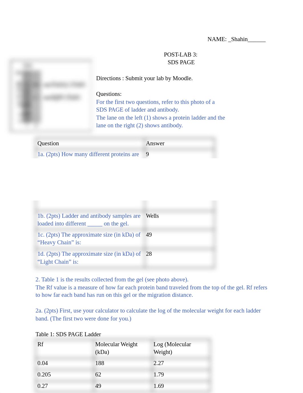 POST-LAB 3_ SDS PAGE-1.pdf_dih2vfkwf7j_page1