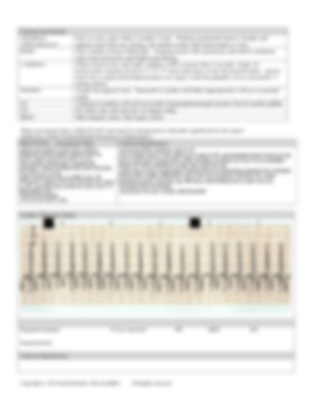 VSD Case Study Week 5.pdf_dihefvo3bnd_page3